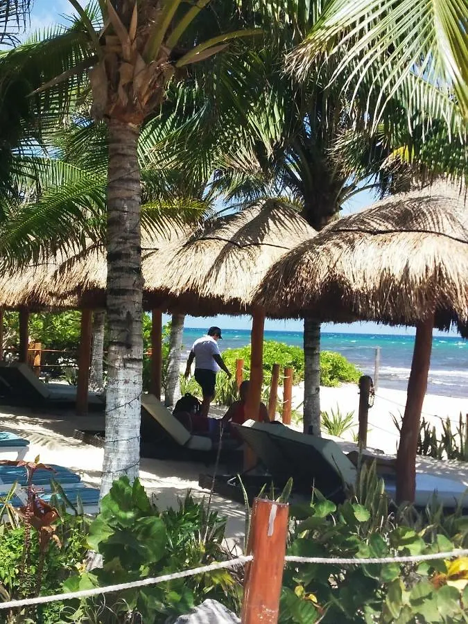 Aparthotel El Nomada Playa del Carmen